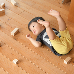 ゴミを出さない家造り